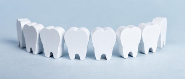 ilustration of teeth in row